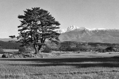 tard l'après-midi, au Kisakata (suite 2)
Montange de Chokai 
