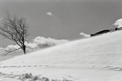 _0012~0.jpg