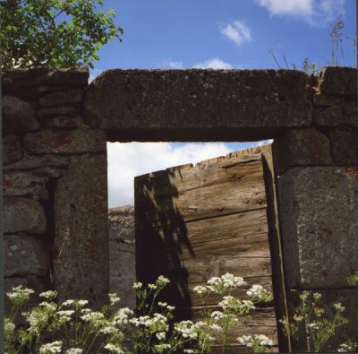 img014~0.jpg
