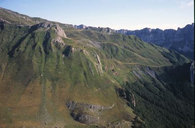 Billare07.jpg