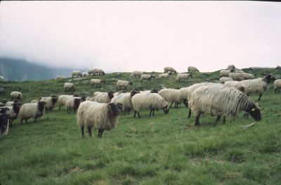 Lescun10.jpg