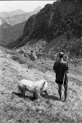 P317i33.jpg