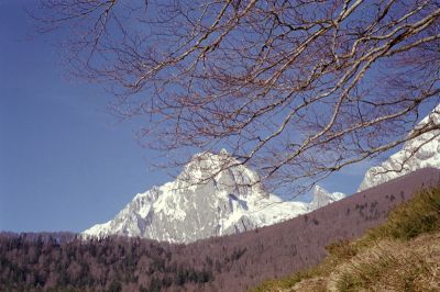 P352i07.jpg