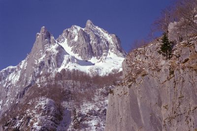 P352i09.jpg
