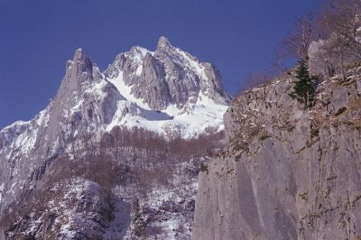 P352i09~0.jpg