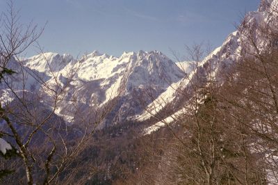 P352i10.jpg