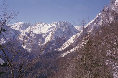 P352i10~0.jpg