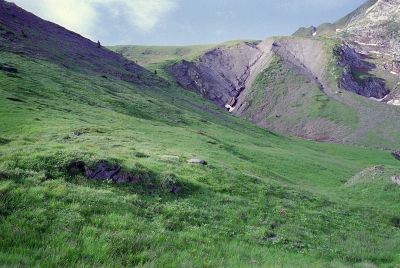 P359i10.jpg