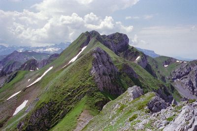 P359i23.jpg