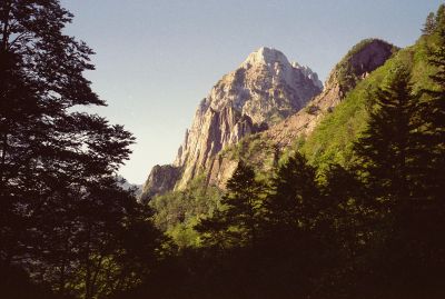 P381i01.jpg