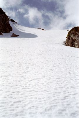P398i23.jpg