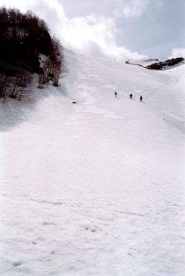 P398i30.jpg