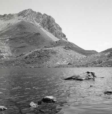Test_rolleiflex~1.jpg