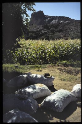 mURI_temp_294cf490.jpg