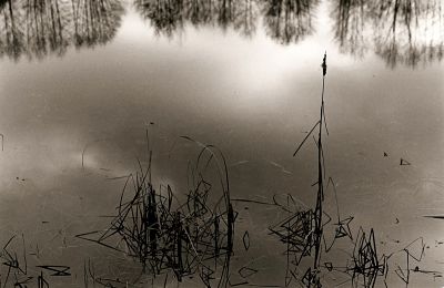Etang Loiret 2
