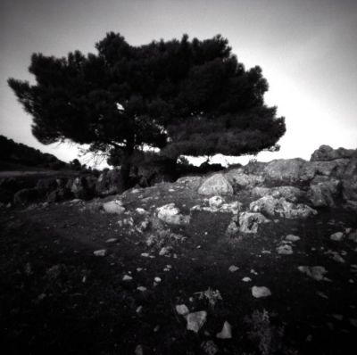 cazorla-stenope
