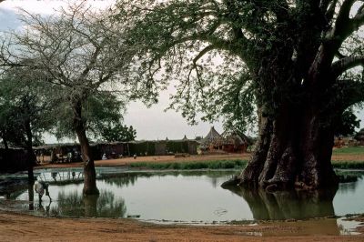 Kordofan
