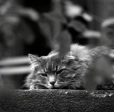 titou2
