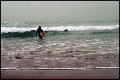 surfer
