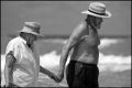 Nom du fichier=les_vieux_amants2.jpg
Taille du fichier=156Ko
Dimensions : 595x397
Ajouté le : 22 Mars 2008 les_vieux_amants2.jpg