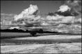 paysage.jpg
