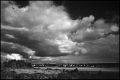 paysage1~0.jpg