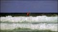 Nom du fichier=surfer.jpg
Taille du fichier=456Ko
Dimensions : 850x468
Ajouté le : 01 Mars 2008 surfer.jpg