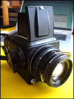 Blad700.JPG