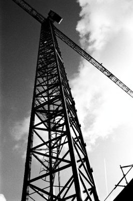 Grue.jpg