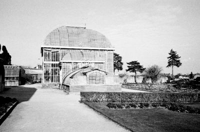 Palais tropical
Au Jardin des Plantes de Nantes, face à la gare SNCF nord.
Olympus Mju: II + Tri-X
Mots-clés: Jardin des plantes Nantes