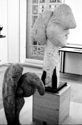 Pif
Musée Picasso, décembre 2000
EOS 500N + 50mm/1,8 + HP5
Mots-clés: Visage blanc Picasso Paris
