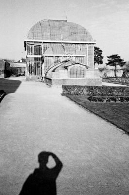 Verrière
On pourrait croire que le bâtiment très esthétisant mais franchement décrépi, essentiellement composé de vitres et de fer, appartient à un paysage oriental.
Il n'en est rien : c'est la serre des plantes tropicales du jardin des plantes de Nantes. Les vitres sont recouvertes par des rideaux à lamelles en bois qui pendent à l'extérieur, soumis aux intempéries. Il doit faire là-dedans une chaleur étouffante aux beaux jours.
Mots-clés: bâtiment plantes silhouette jardin Nantes