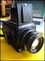 Blad700.JPG