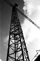 Grue.jpg