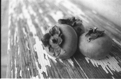 Fruits d'hiver
