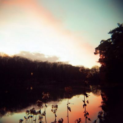 Holga
Mots-clés: Holga