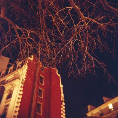 Holga
Mots-clés: Holga