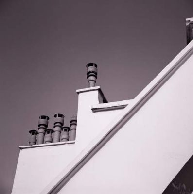 Lubitel
