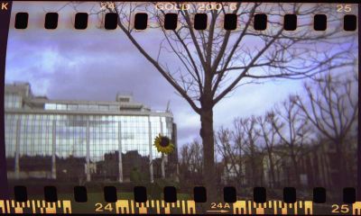 Holga 135mm
Mots-clés: Holga 135mm