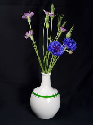 fleurs_bleues_envoi.jpg