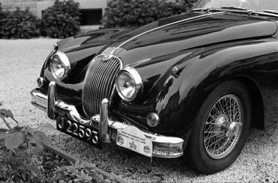 Jaguar ou pas ?
