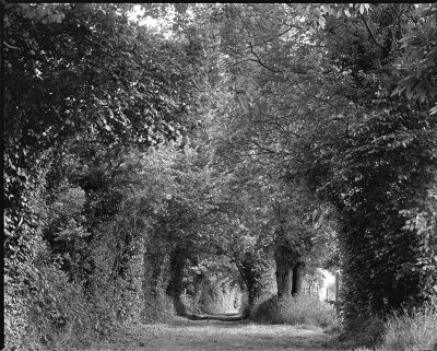 mon_petit_chemin.jpg