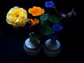 deux_bouquets~0.jpg