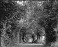 mon_petit_chemin.jpg