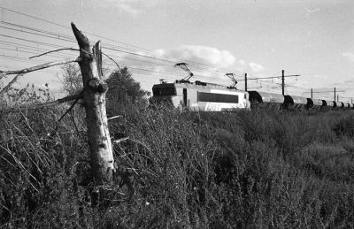 Mon train en pleine Beauce
