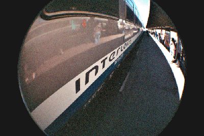 fish-interloire.gif