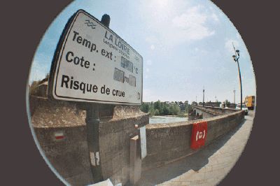 fish-loire.gif
