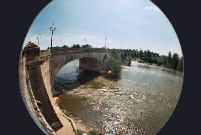 fish-pont.gif