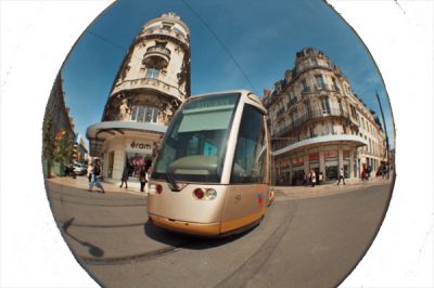 fish-tram-orleans.jpg