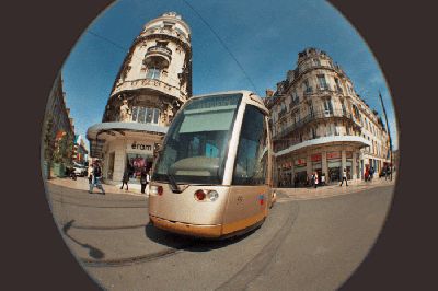 fish-tram.gif